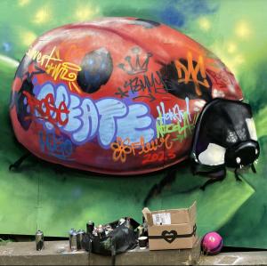 Graffiti-Ladybird